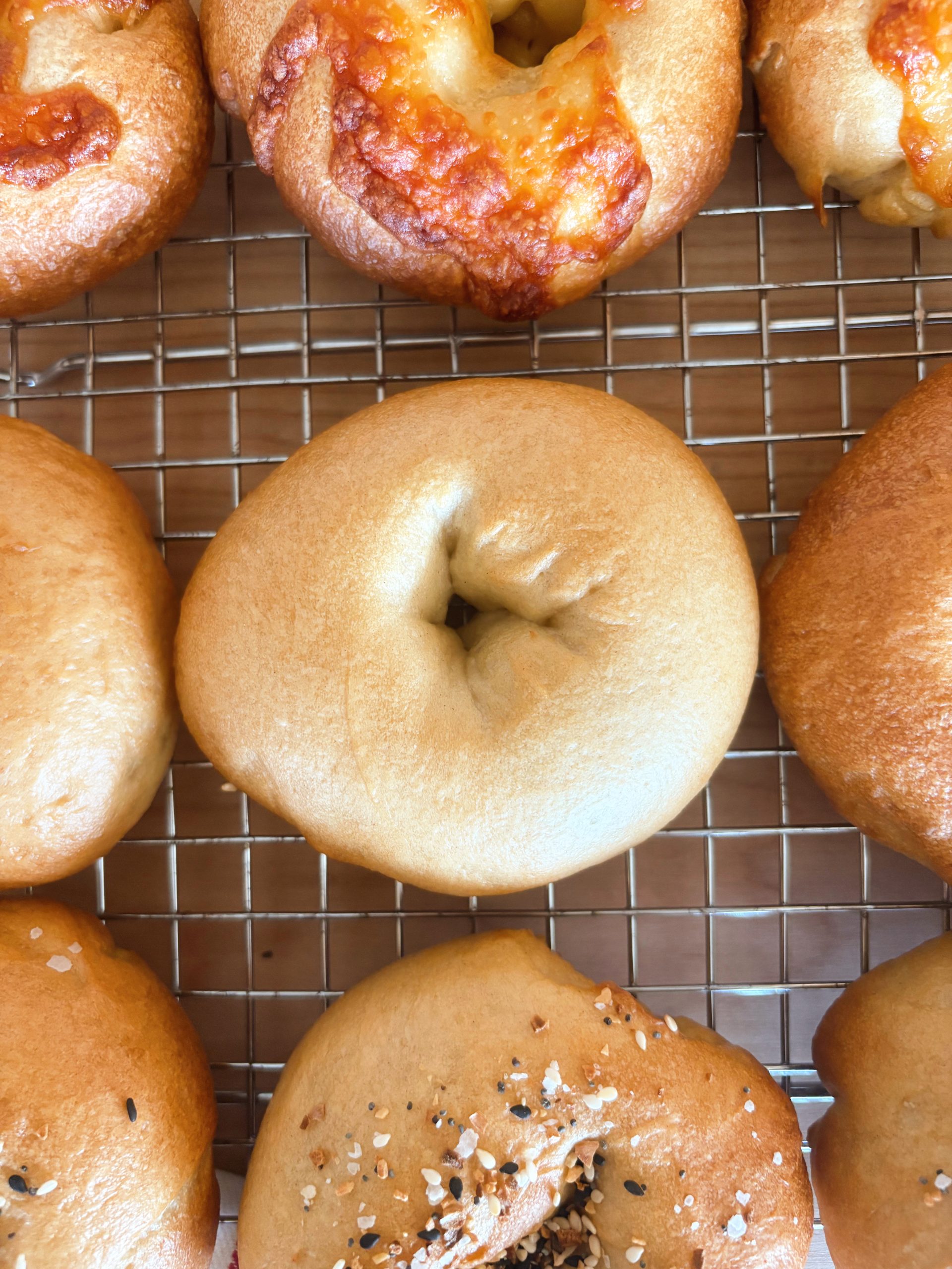 sourdough bagels on baking rack